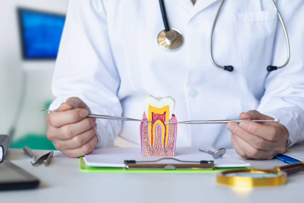 Best Broken or Chipped Tooth Repair in New Braunfels, TX
